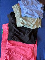 Spyder Lined Short